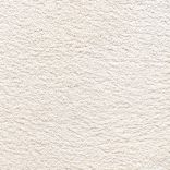 Wealthy Gathering carpet - 030